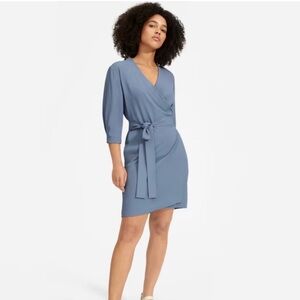 Everlane Navy V-Neck Dress
